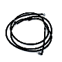 Windshield Washer Hose (Front)